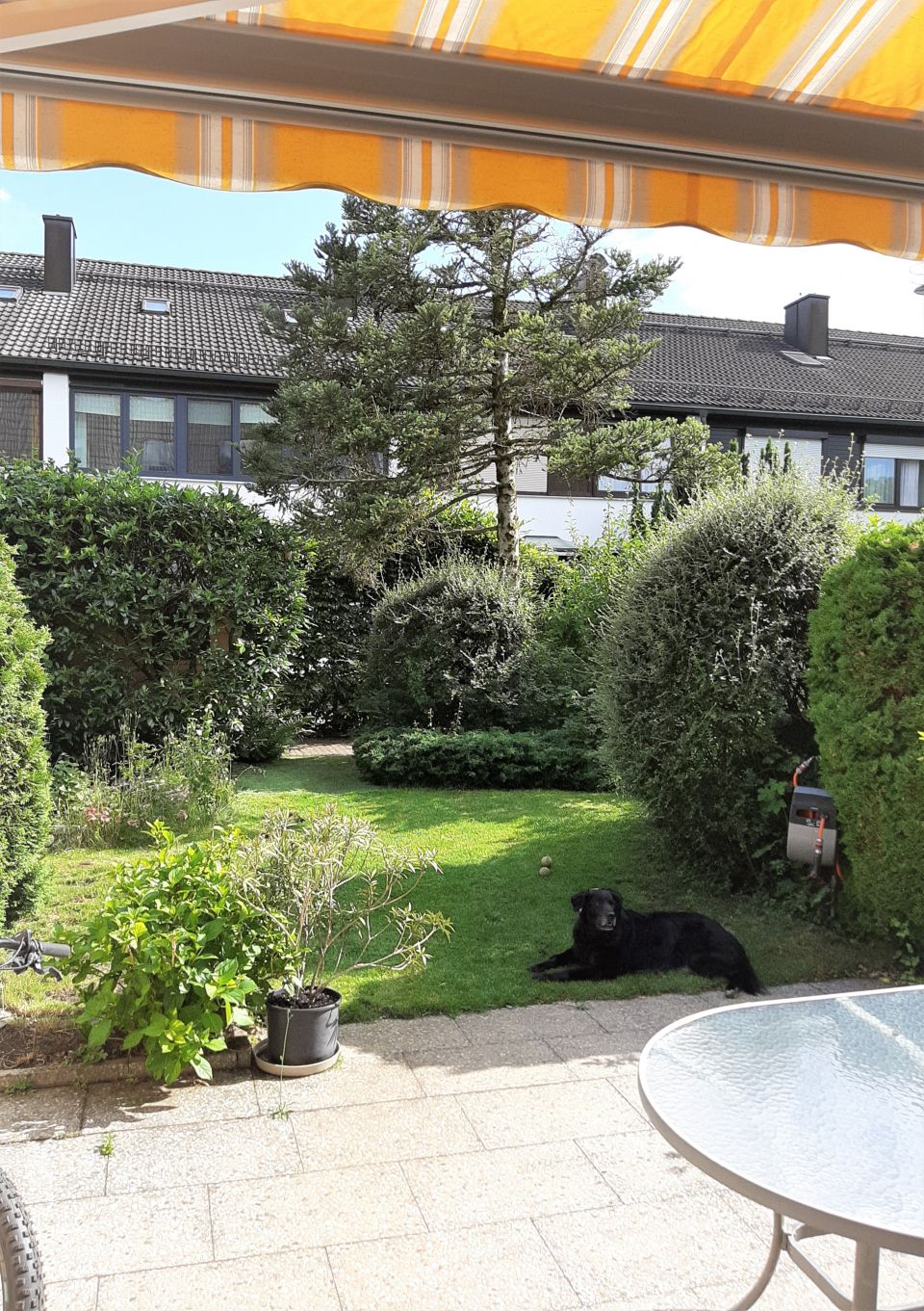 Verkauft Familiengerechtes Reihenhaus   Verkauft Familiengerechtes Reihenhaus